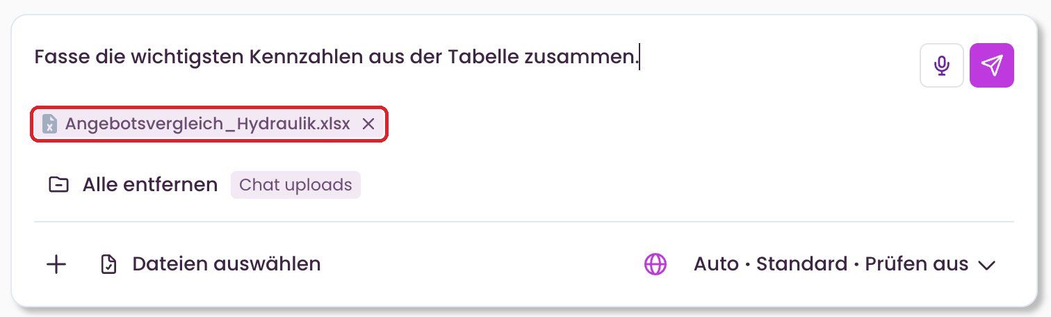 Hochgeladene Datei im Eingabefeld
